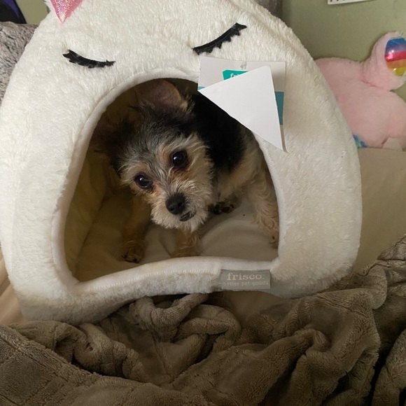 Meet your Posher, Jennifer - Picture 1 of 1